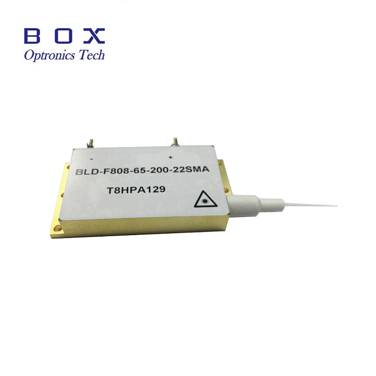 975nm 976nm 980nm 60W Fiber Copulatum Diode Laser